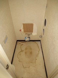 20131127 Nsama-c01.JPG