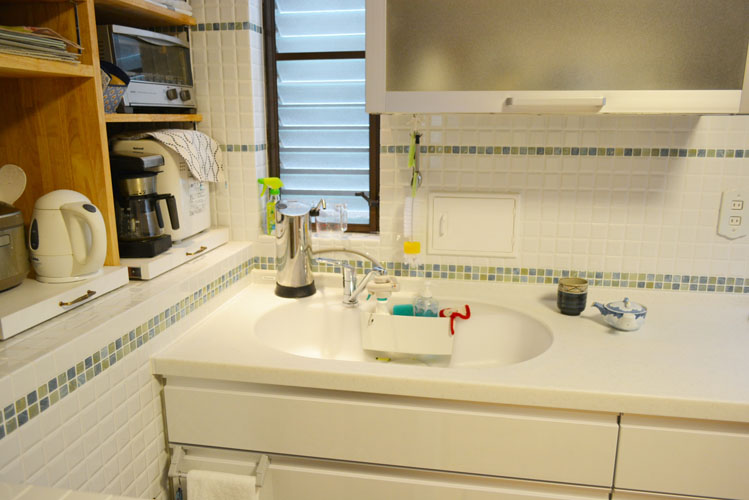 20140407 Tsama-a02.JPG