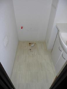 20140410 Ssama-c2.jpg