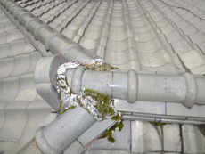 20140421 msama-m01.jpg