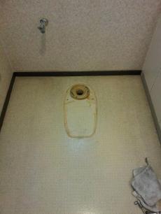 20140423 tsama-t03.jpg