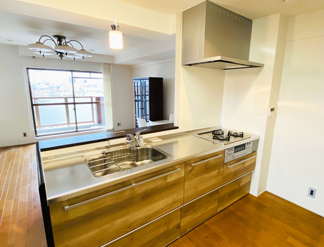 山瀬邸 グランド日光ハイツ西向日505_200126_0078_2.png